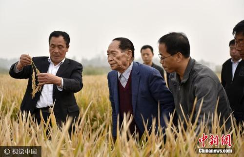 袁隆平沙漠種植水稻成功！物聯網技術“功不可沒”