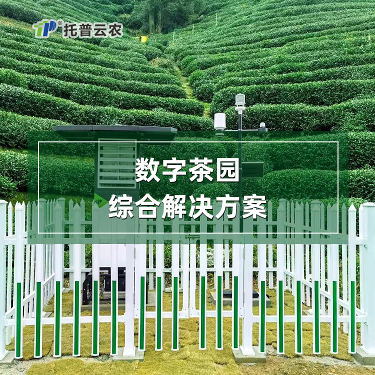 數字（智慧）茶園綜合解決方案